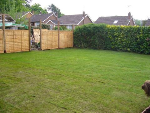 a lawn!... and a Fence!