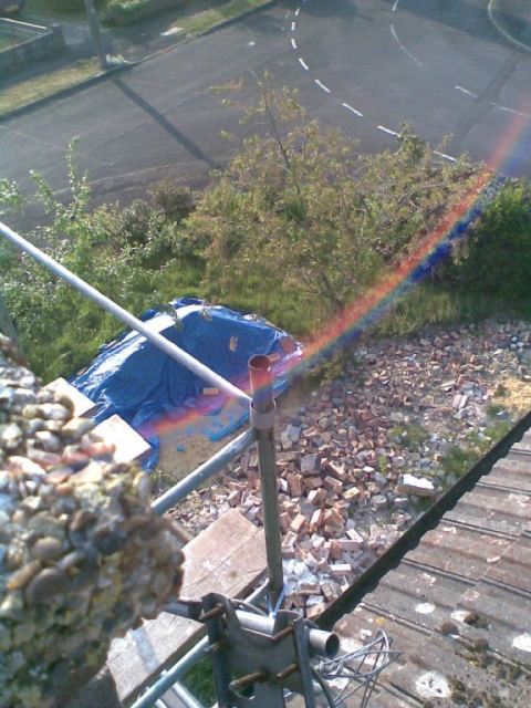 the view
