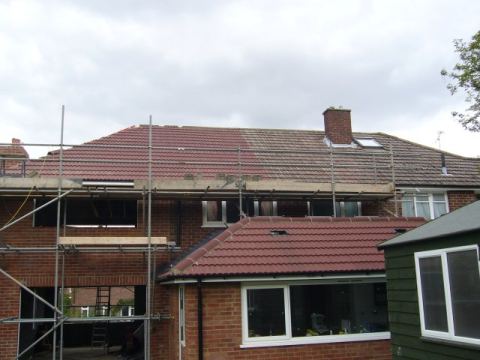 more ridge