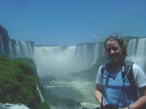 Mills in front of the falls