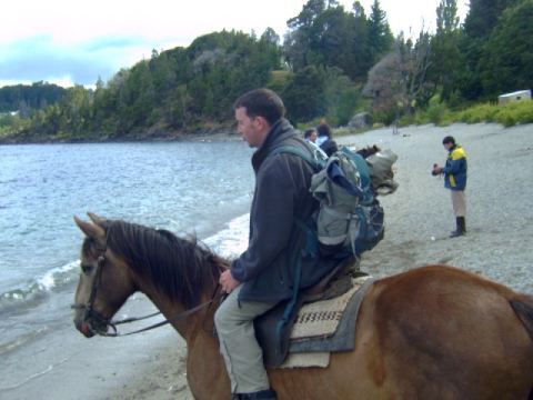 Horse: