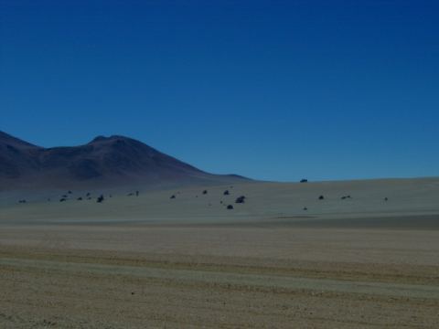 Dali Landscape