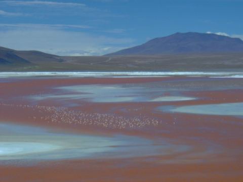 Lago Roja