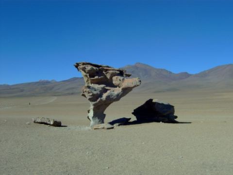 The famous stone tree