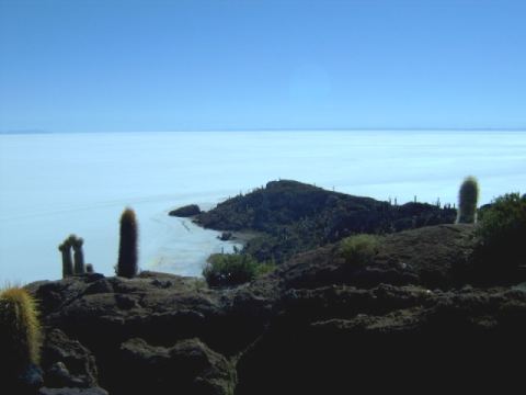 The island