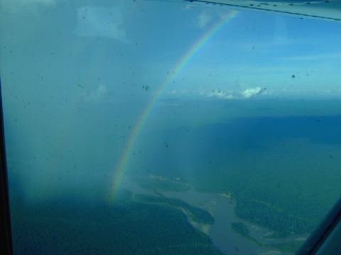 Rainbow over jungle