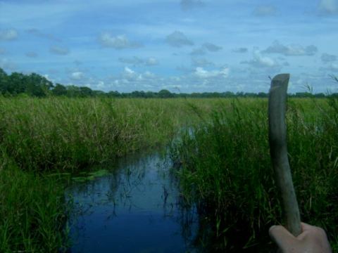 The view of the hunter