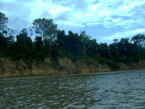 The river banks