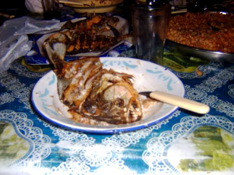 Quite a tasty fish