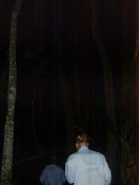 The night hike
